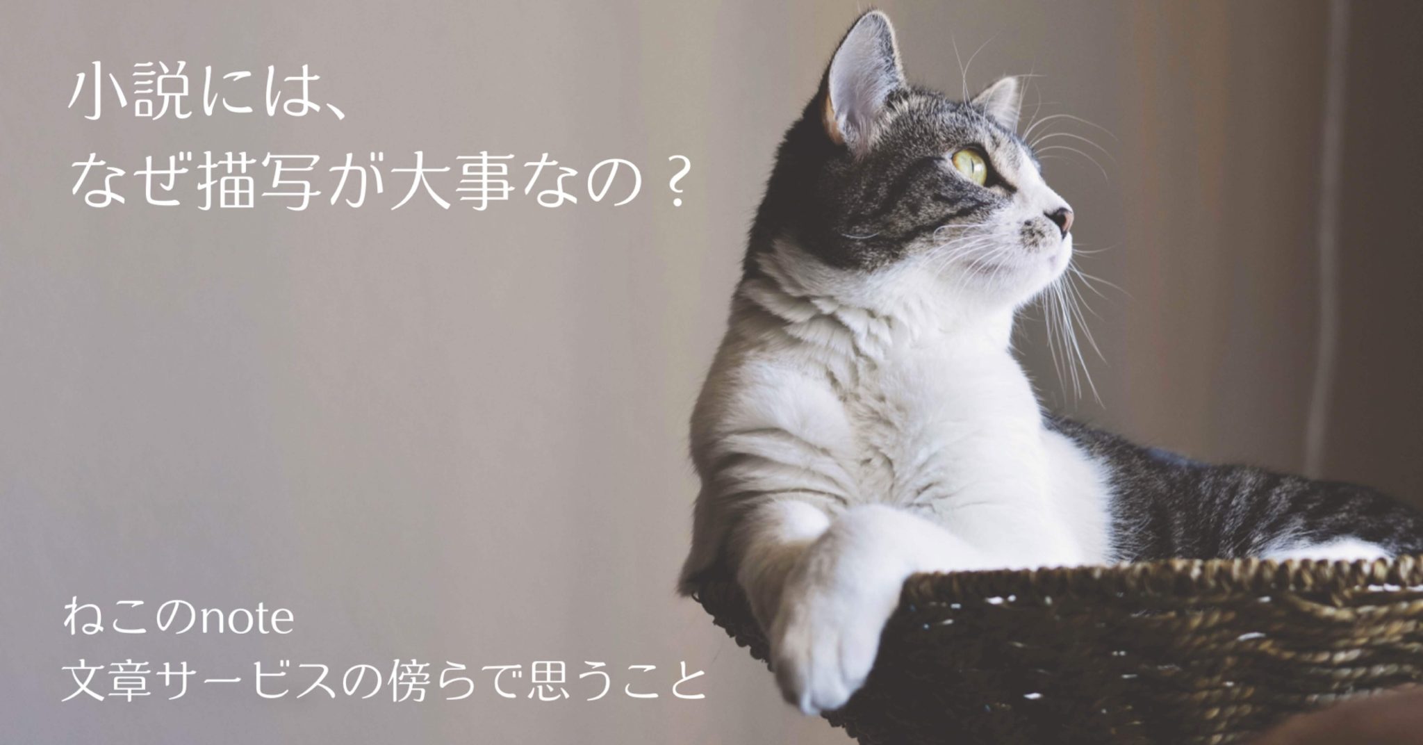 文章サービスの傍らで思うこと：小説にとって『描写』はなぜ大事？